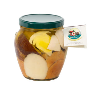 Salpa Porcini Mushrooms in Olive Oil, 9.9 oz | 280g