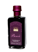 Load image into Gallery viewer, Danilo Manco Bonvi&#39; Modena Balsamic Vinegar I.G.P. 250ml
