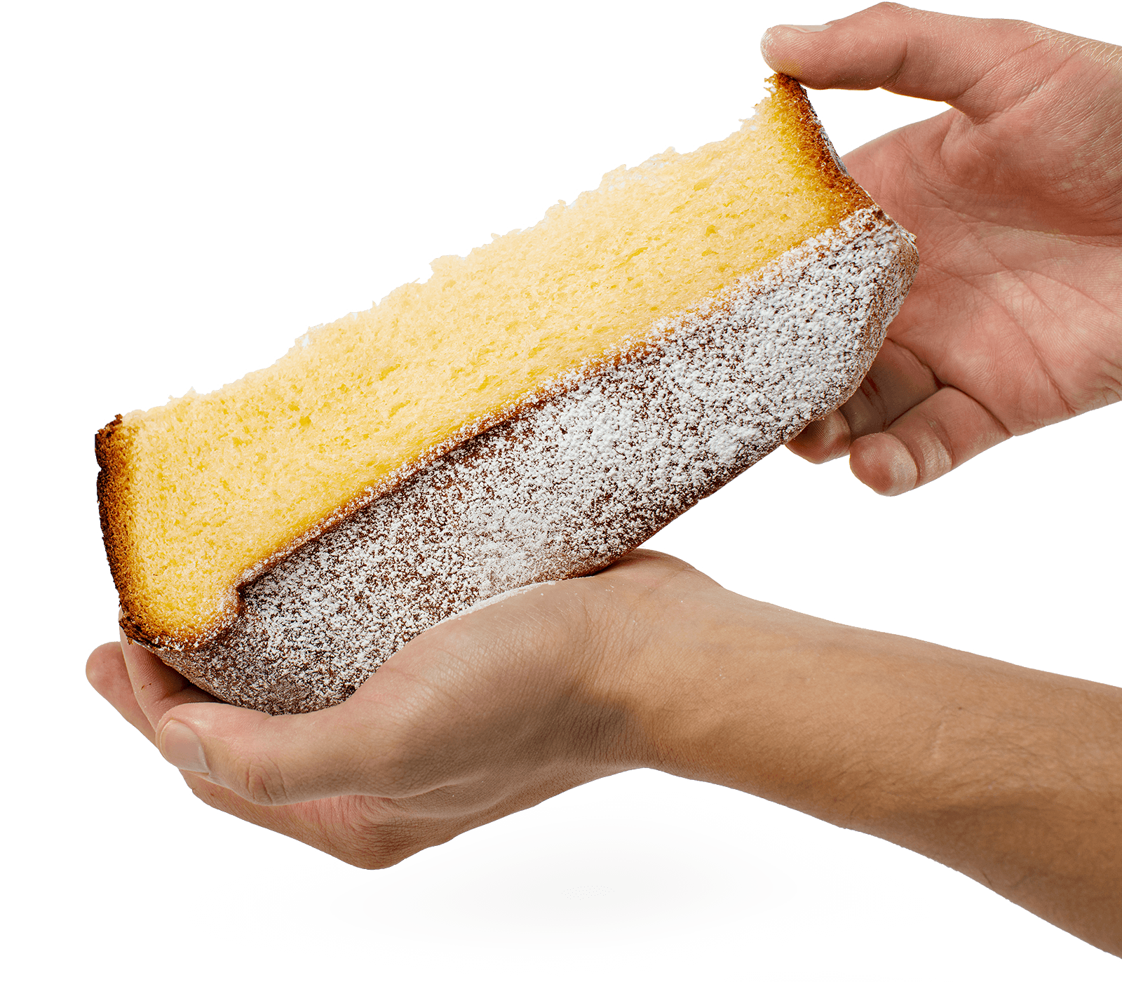 Pandoro Classico , By Loison 1000gr - 2.2 lb
