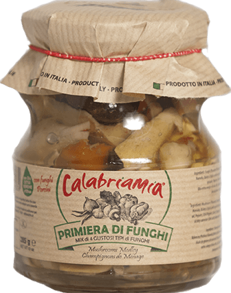 Mushroom Medley with Extra Virgin Olive Oil by CalabriaMia - 10 oz SAUCE CALABRIA MIA 